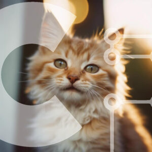 Intra Συλλεκτικό Ξύλινο Παζλ Plywood  4mm - Πορτοκαλί γάτα με πράσινα μάτια που κοιτάζουν την κάμερα Σε Ξύλινο Κουτί - Διαστάσεις: 10x10 cm – 25 κομμάτια