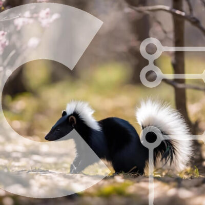 Intra Συλλεκτικό Ξύλινο Παζλ Plywood  4mm - Black and White Skunk in Woods Σε Ξύλινο Κουτί - Διαστάσεις: 10x10 cm – 25 κομμάτια - Image 1