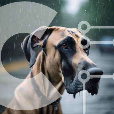 Intra Συλλεκτικό Ξύλινο Παζλ Plywood  4mm - Μεγάλο σκυλί που κάθεται στη βροχή Σε Ξύλινο Κουτί - Διαστάσεις: 10x10 cm – 25 κομμάτια - Image 1