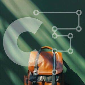 Intra Συλλεκτικό Ξύλινο Παζλ Plywood  4mm - Πορτοκαλί τσάντα σε πράσινο φόντο Σε Ξύλινο Κουτί - Διαστάσεις Puzzle: 10x10 cm – 25 κομμάτια