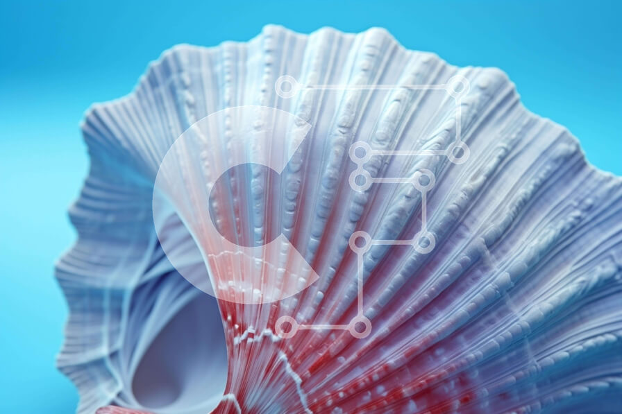 Intra Συλλεκτικό Ξύλινο Παζλ Plywood  4mm - Λευκό και κόκκινο κοχύλι σε μπλε φόντο Σε Ξύλινο Κουτί - Διαστάσεις: 10x10 cm – 25 κομμάτια