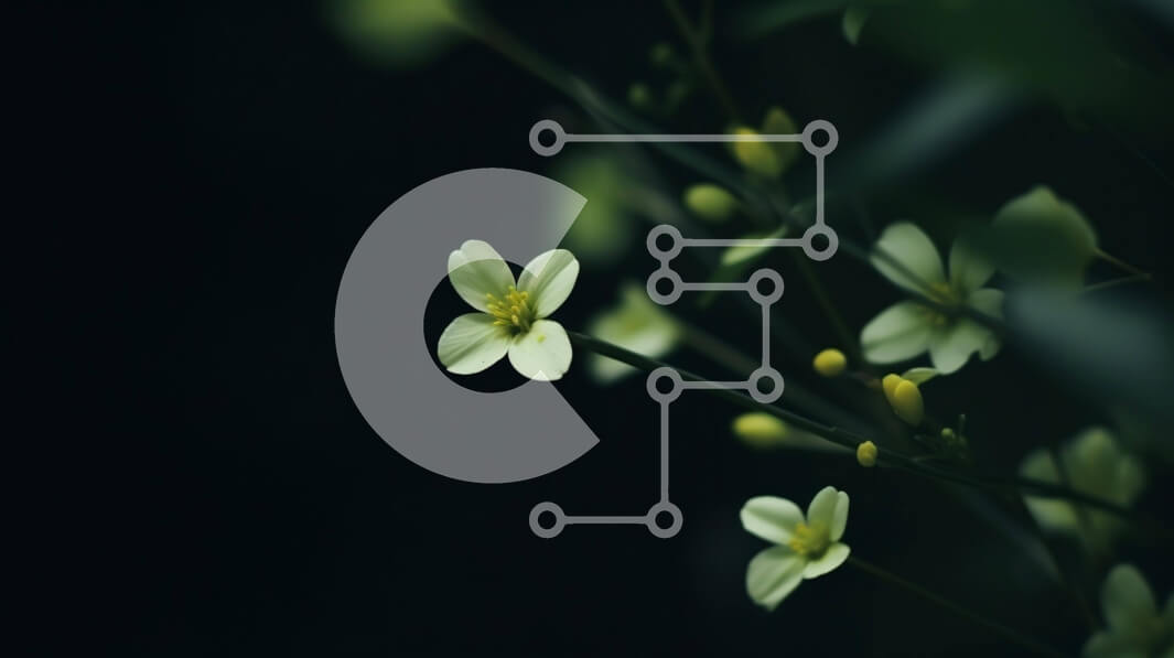 Intra Συλλεκτικό Ξύλινο Παζλ Plywood  4mm - Κοντινό πλάνο μικρών λευκών λουλουδιών σε σκούρο φόντο Σε Ξύλινο Κουτί - Διαστάσεις: 10x10 cm – 25 κομμάτια