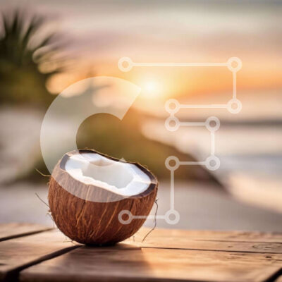 Intra Συλλεκτικό Ξύλινο Παζλ Plywood  4mm - Καρύδα σε ξύλινο τραπέζι στο ηλιοβασίλεμα Σε Ξύλινο Κουτί - Διαστάσεις: 10x10 cm – 25 κομμάτια - Image 1