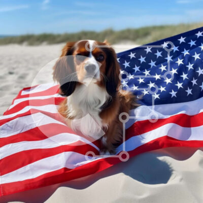 Intra Συλλεκτικό Ξύλινο Παζλ Plywood  4mm - Καφέ σκυλί που κάθεται στην αμερικανική σημαία στην παραλία Σε Ξύλινο Κουτί - Διαστάσεις: 10x10 cm – 25 κομμάτια - Image 1