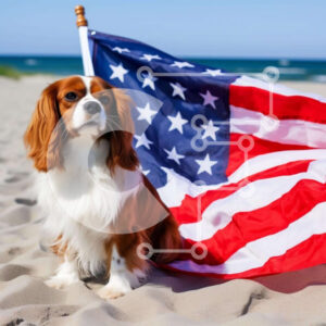 Intra Συλλεκτικό Ξύλινο Παζλ Plywood  4mm - Καφέ και λευκό σκυλί με αμερικανική σημαία στην παραλία Σε Ξύλινο Κουτί - Διαστάσεις: 10x10 cm – 25 κομμάτια