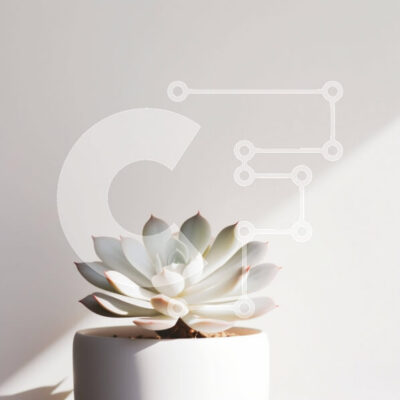 Intra Συλλεκτικό Ξύλινο Παζλ Plywood  4mm - Υγιές παχύφυτο εσωτερικού χώρου Σε Ξύλινο Κουτί - Διαστάσεις: 10x10 cm – 25 κομμάτια - Image 1