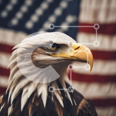 Intra Συλλεκτικό Ξύλινο Παζλ Plywood  4mm - Αετός μπροστά από την αμερικανική σημαία Σε Ξύλινο Κουτί - Διαστάσεις: 10x10 cm – 25 κομμάτια - Image 1