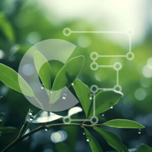 Intra Συλλεκτικό Ξύλινο Παζλ Plywood  4mm - Πράσινο φυτό με σταγονίδια νερού Σε Ξύλινο Κουτί - Διαστάσεις: 10x10 cm – 25 κομμάτια