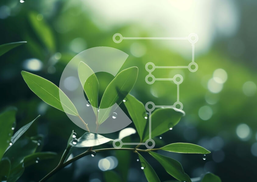 Intra Συλλεκτικό Ξύλινο Παζλ Plywood 4mm - Πράσινο φυτό με σταγονίδια νερού Σε Ξύλινο Κουτί - Διαστάσεις: 10x10 cm – 25 κομμάτια - Image 1