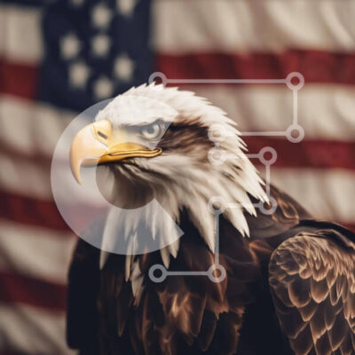 Intra Συλλεκτικό Ξύλινο Παζλ Plywood  4mm - Φαλακρός αετός και αμερικανική σημαία Σε Ξύλινο Κουτί - Διαστάσεις: 10x10 cm – 25 κομμάτια - Image 1