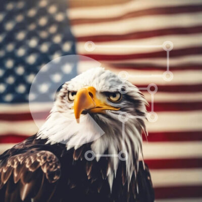 Intra Συλλεκτικό Ξύλινο Παζλ Plywood  4mm - Φαλακρός αετός μπροστά από την αμερικανική σημαία Σε Ξύλινο Κουτί - Διαστάσεις: 10x10 cm – 25 κομμάτια - Image 1