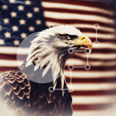 Intra Συλλεκτικό Ξύλινο Παζλ Plywood  4mm - Φαλακρός αετός με αμερικανική σημαία - σύμβολο του πατριωτισμού Σε Ξύλινο Κουτί - Διαστάσεις: 10x10 cm – 25 κομμάτια - Image 1