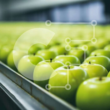 Intra Συλλεκτικό Ξύλινο Παζλ Plywood  4mm - Φρεσκοκομμένα πράσινα μήλα σε μεταφορική ζώνη με φόντο οπωρώνα Σε Ξύλινο Κουτί - Διαστάσεις: 10x10 cm – 25 κομμάτια - Image 1