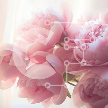 Intra Συλλεκτικό Ξύλινο Παζλ Plywood 4mm - Pink Peonies in Vase by Window Σε Ξύλινο Κουτί - Διαστάσεις: 10x10 cm – 25 κομμάτια - Image 1