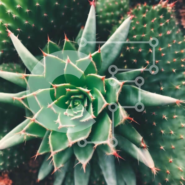 2ik3XoKkKBqJVvm9AIK4Syv1mPd-desktop