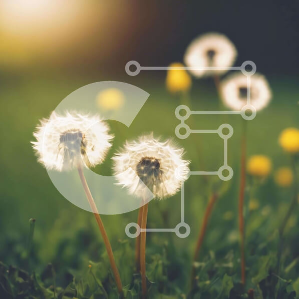 2ik3aHctf4KuLmu8Y0B11OsTpJ3-desktop