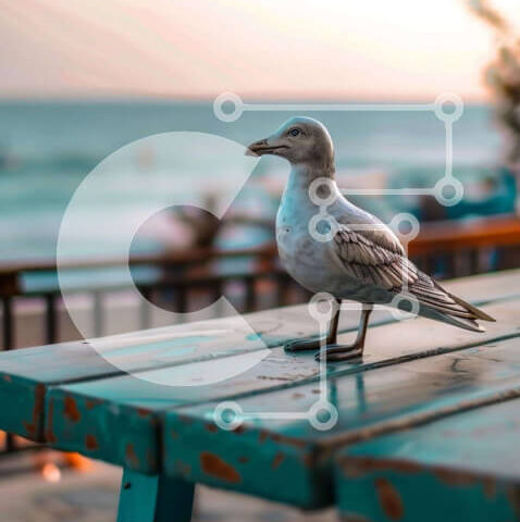 Intra Συλλεκτικό Ξύλινο Παζλ Plywood 4mm - Λευκός Γλάρος σε εξωτερικό ξύλινο τραπέζι Σε Ξύλινο Κουτί - Διαστάσεις: 10x10 cm – 25 κομμάτια - Image 1