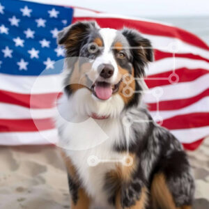 Intra Συλλεκτικό Ξύλινο Παζλ Plywood  4mm - Ευτυχισμένος σκύλος στην παραλία με αμερικανική σημαία Σε Ξύλινο Κουτί - Διαστάσεις Puzzle: 10x10 cm – 25 κομμάτια