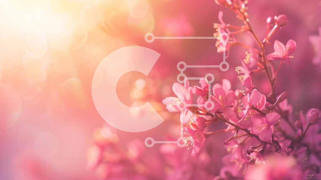 Intra Συλλεκτικό Ξύλινο Παζλ Plywood  4mm - Κοντινό πλάνο ανθισμένα ροζ λουλούδια με φωτισμό Bokeh Σε Ξύλινο Κουτί - Διαστάσεις: 10x10 cm – 25 κομμάτια