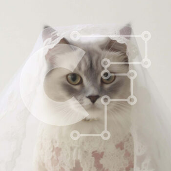 Intra Συλλεκτικό Ξύλινο Παζλ Plywood  4mm - Γκρι και λευκή γάτα με κομψό πέπλο γάμου Σε Ξύλινο Κουτί - Διαστάσεις Puzzle: 10x10 cm – 25 κομμάτια - Image 1