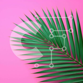 Intra Συλλεκτικό Ξύλινο Παζλ Plywood  4mm - Ροζ φόντο με πράσινο φύλλο φοίνικα Σε Ξύλινο Κουτί - Διαστάσεις Puzzle: 10x10 cm – 25 κομμάτια - Image 1