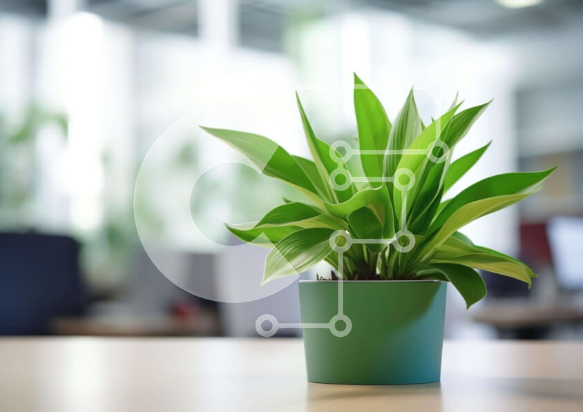 Intra Συλλεκτικό Ξύλινο Παζλ Plywood  4mm - Πράσινο φυτό στο τραπέζι γραφείου Σε Ξύλινο Κουτί - Διαστάσεις Puzzle: 10x10 cm – 25 κομμάτια