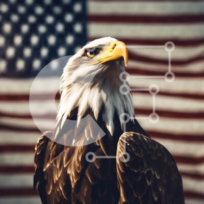 Intra Συλλεκτικό Ξύλινο Παζλ Plywood 4mm - Φαλακρός αετός με αμερικανική σημαία Σε Ξύλινο Κουτί - Διαστάσεις: 10x10 cm – 25 κομμάτια - Image 1