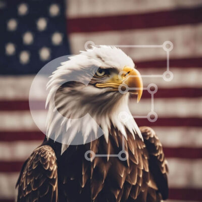 Intra Συλλεκτικό Ξύλινο Παζλ Plywood 4mm - Φαλακρός αετός με αμερικανική σημαία Σε Ξύλινο Κουτί - Διαστάσεις: 10x10 cm – 25 κομμάτια - Image 1