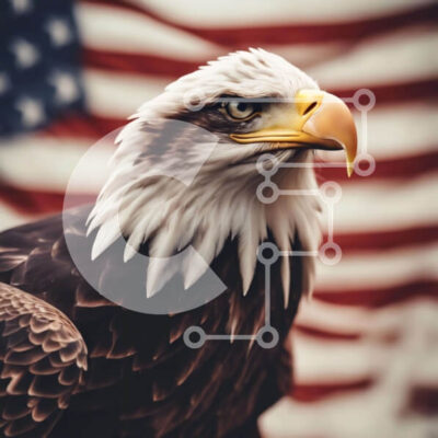 Intra Συλλεκτικό Ξύλινο Παζλ Plywood  4mm - Φαλακρός αετός και αμερικανική σημαία Σε Ξύλινο Κουτί - Διαστάσεις: 10x10 cm – 25 κομμάτια - Image 1