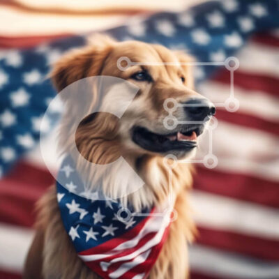 Intra Συλλεκτικό Ξύλινο Παζλ Plywood 4mm - Happy Golden Retriever Dog με American Flag Bandana Σε Ξύλινο Κουτί - Διαστάσεις: 10x10 cm – 25 κομμάτια - Image 1