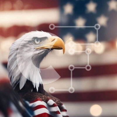 Intra Συλλεκτικό Ξύλινο Παζλ Plywood  4mm - Κοντινό πλάνο φαλακρός αετός με αμερικανική σημαία Σε Ξύλινο Κουτί - Διαστάσεις: 10x10 cm – 25 κομμάτια - Image 1