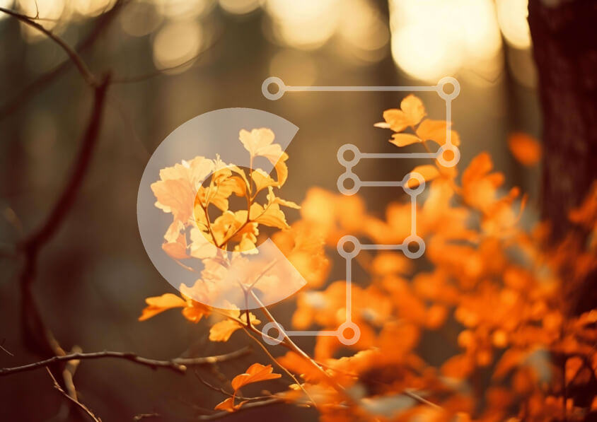 Intra Συλλεκτικό Ξύλινο Παζλ Plywood  4mm - Φθινοπωρινό δέντρο στο δάσος με πορτοκαλί φύλλα Σε Ξύλινο Κουτί - Διαστάσεις: 10x10 cm – 25 κομμάτια