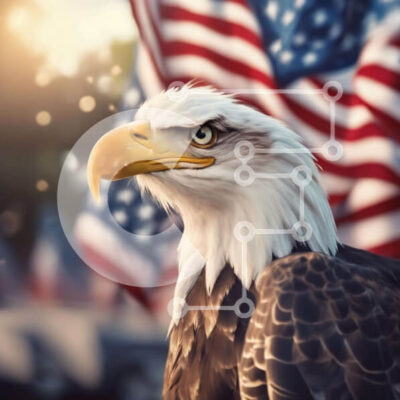 Intra Συλλεκτικό Ξύλινο Παζλ Plywood  4mm - Φαλακρός αετός και αμερικανική σημαία Σε Ξύλινο Κουτί - Διαστάσεις: 10x10 cm – 25 κομμάτια - Image 1