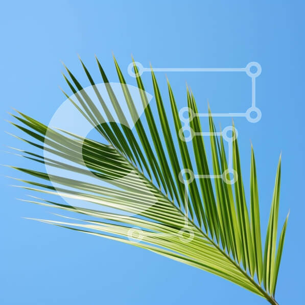 2ik4ToOIgekTSbihDAOktTjqmv9-desktop