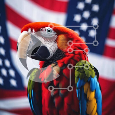 Intra Συλλεκτικό Ξύλινο Παζλ Plywood  4mm - Πολύχρωμος παπαγάλος μπροστά από την αμερικανική σημαία Σε Ξύλινο Κουτί - Διαστάσεις: 10x10 cm – 25 κομμάτια - Image 1