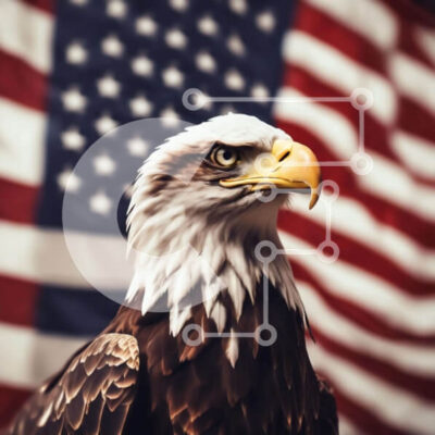Intra Συλλεκτικό Ξύλινο Παζλ Plywood  4mm - Φαλακρός αετός μπροστά από την αμερικανική σημαία Σε Ξύλινο Κουτί - Διαστάσεις: 10x10 cm – 25 κομμάτια - Image 1