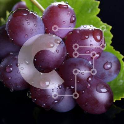 Intra Συλλεκτικό Ξύλινο Παζλ Plywood 4mm - Φρέσκα μωβ σταφύλια με σταγονίδια νερού Σε Ξύλινο Κουτί - Διαστάσεις: 10x10 cm – 25 κομμάτια - Image 1