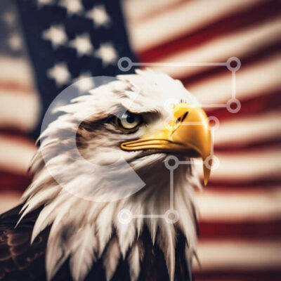 Intra Συλλεκτικό Ξύλινο Παζλ Plywood  4mm - Αμερικανικός αετός μπροστά από τη σημαία Σε Ξύλινο Κουτί - Διαστάσεις: 10x10 cm – 25 κομμάτια - Image 1