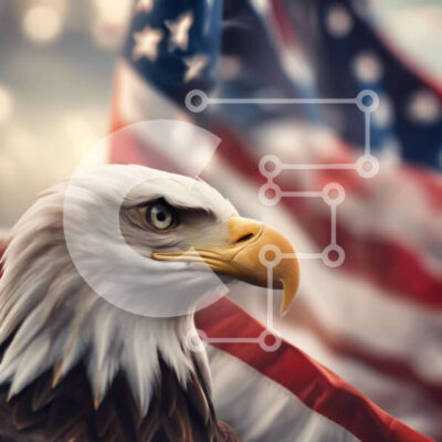 Intra Συλλεκτικό Ξύλινο Παζλ Plywood  4mm - Μεγαλοπρεπής αετός και αμερικανική σημαία Σε Ξύλινο Κουτί - Διαστάσεις: 10x10 cm – 25 κομμάτια - Image 1