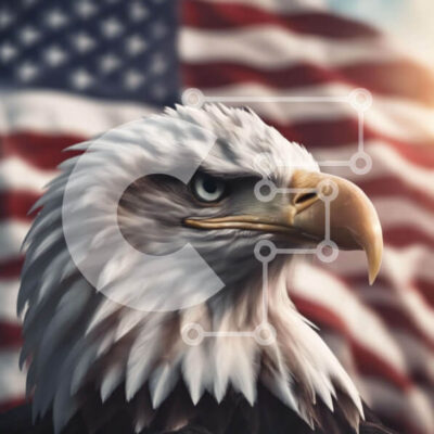 Intra Συλλεκτικό Ξύλινο Παζλ Plywood  4mm - Κεφάλι αετού μπροστά από την αμερικανική σημαία Σε Ξύλινο Κουτί - Διαστάσεις: 10x10 cm – 25 κομμάτια - Image 1