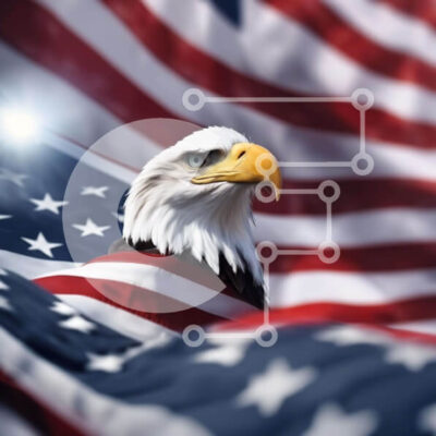 Intra Συλλεκτικό Ξύλινο Παζλ Plywood  4mm - Φαλακρός αετός στην αμερικανική σημαία Σε Ξύλινο Κουτί - Διαστάσεις: 10x10 cm – 25 κομμάτια - Image 1