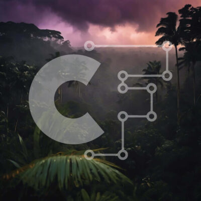 Intra Συλλεκτικό Ξύλινο Παζλ Plywood  4mm - Τροπικό δάσος με φοίνικες και σύννεφα Σε Ξύλινο Κουτί - Διαστάσεις: 10x10 cm – 25 κομμάτια - Image 1