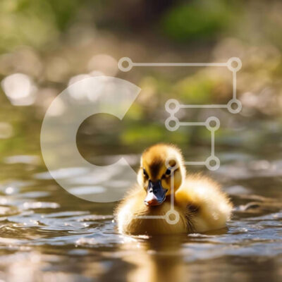 Intra Συλλεκτικό Ξύλινο Παζλ Plywood 4mm - Μικρή κίτρινη πάπια που κολυμπά στο νερό Σε Ξύλινο Κουτί - Διαστάσεις: 10x10 cm – 25 κομμάτια - Image 1