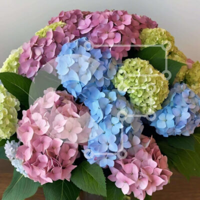 Intra Συλλεκτικό Ξύλινο Παζλ Plywood 4mm - Πολύχρωμη ανθοσυνθέσεις σε βάζο Σε Ξύλινο Κουτί - Διαστάσεις: 10x10 cm – 25 κομμάτια - Image 1