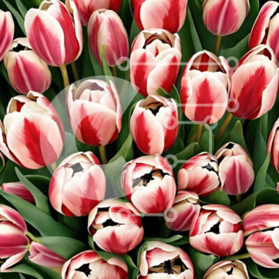 Intra Συλλεκτικό Ξύλινο Παζλ Plywood 4mm - Μπουκέτο με κόκκινες και λευκές τουλίπες σε πλήρη άνθιση Σε Ξύλινο Κουτί - Διαστάσεις: 10x10 cm – 25 κομμάτια - Image 1