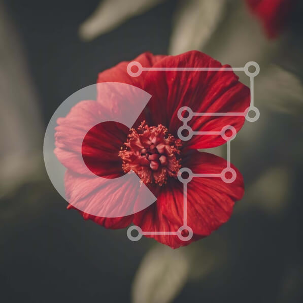 2ik54MTud6TVu5aXfraVp7OOOdw-desktop