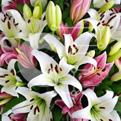 Intra Συλλεκτικό Ξύλινο Παζλ Plywood 4mm - Μπουκέτο με λευκά, ροζ και μωβ κρίνα με τριαντάφυλλα, γαρίφαλα και ορχιδέες Σε Ξύλινο Κουτί - Διαστάσεις: 10x10 cm – 25 κομμάτια - Image 1