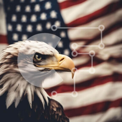 Intra Συλλεκτικό Ξύλινο Παζλ Plywood 4mm - Πατριωτικός αετός με αμερικανική σημαία Σε Ξύλινο Κουτί - Διαστάσεις Puzzle: 10x10 cm – 25 κομμάτια - Image 1