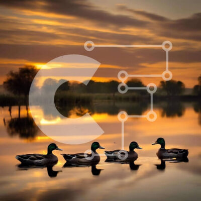 Intra Συλλεκτικό Ξύλινο Παζλ Plywood  4mm - Τέσσερις πάπιες που κολυμπούν στο νερό στο ηλιοβασίλεμα Σε Ξύλινο Κουτί - Διαστάσεις: 10x10 cm – 25 κομμάτια - Image 1