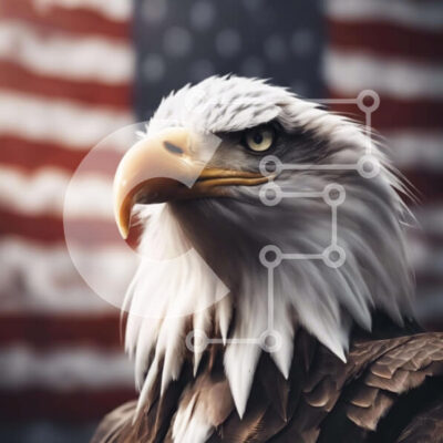 Intra Συλλεκτικό Ξύλινο Παζλ Plywood  4mm - Αετός που στέκεται μπροστά από την αμερικανική σημαία Σε Ξύλινο Κουτί - Διαστάσεις: 10x10 cm – 25 κομμάτια - Image 1